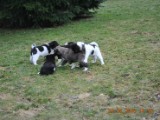 2010_03_21 426.jpg