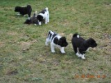2010_03_21 429.jpg
