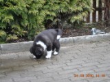 2010_03_21 440.jpg