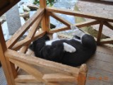 2010_03_28 001.jpg