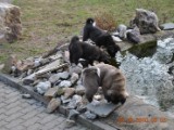 2010_03_28 004.jpg