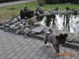 2010_03_28 005.jpg