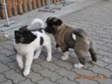 2010_03_28 008.jpg