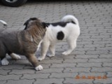 2010_03_28 011.jpg