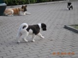 2010_03_28 017.jpg