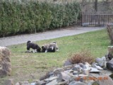 2010_03_28 021.jpg