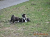 2010_03_28 023.jpg