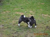 2010_03_28 032.jpg