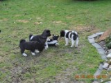 2010_03_28 037.jpg