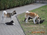 2010_03_28 046.jpg