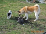 2010_03_28 054.jpg