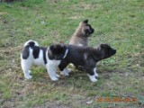 2010_03_28 055.jpg