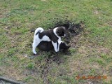 2010_03_28 063.jpg
