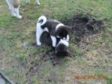 2010_03_28 066.jpg