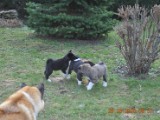 2010_03_28 067.jpg