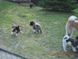 2010_03_28 074.jpg
