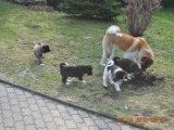 2010_03_28 076.jpg