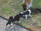2010_03_28 079.jpg
