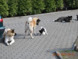 2010_03_28 105.jpg