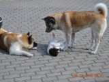 2010_03_28 111.jpg