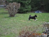 2010_03_28 136.jpg