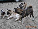 2010_04_04 056.jpg