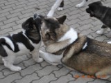 2010_04_04 065.jpg