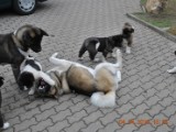 2010_04_04 070.jpg