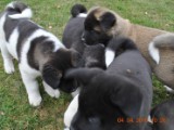2010_04_04 091.jpg