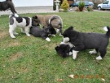 2010_04_04 094.jpg