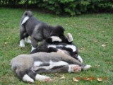 2010_04_04 100.jpg