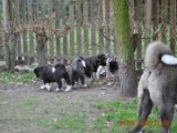 2010_04_04 116.jpg