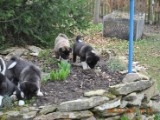 2010_04_04 189.jpg