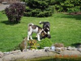 2010_05_24 228.jpg