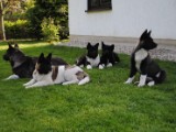 2010_05_24 377.jpg