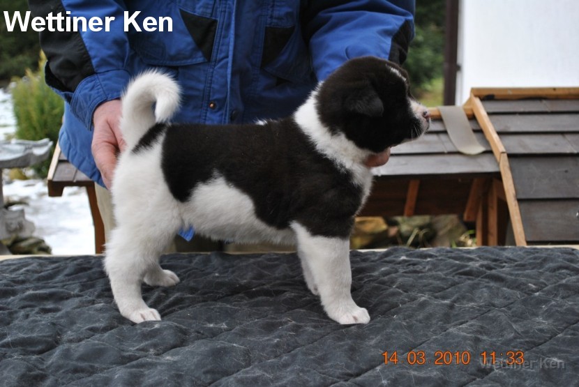 2010_03_14_Welpen 153
