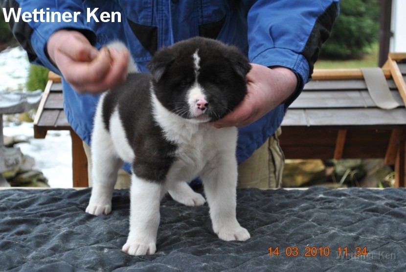 2010_03_14_Welpen 158