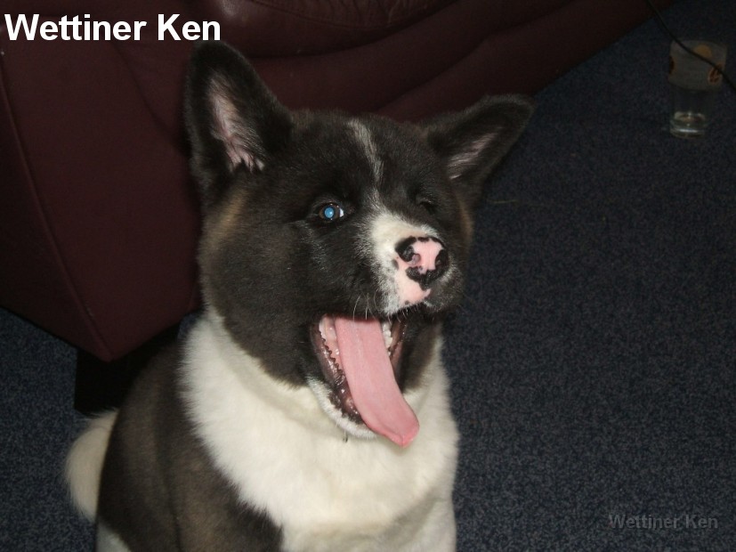 324