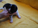 2009_10_05 060.jpg
