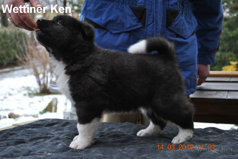 2010_03_14_Welpen 057