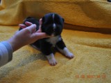 2009_10_05 132.jpg