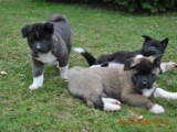 2010_04_04 101.jpg
