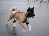 2011_03_27 009.jpg