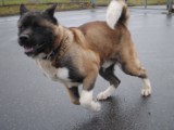 2011_03_27 056.jpg