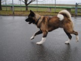 2011_03_27 085.jpg