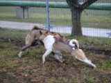 2011_03_27 167.jpg